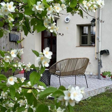 Drumul Poienii Apartment 브라쇼브 외부 사진