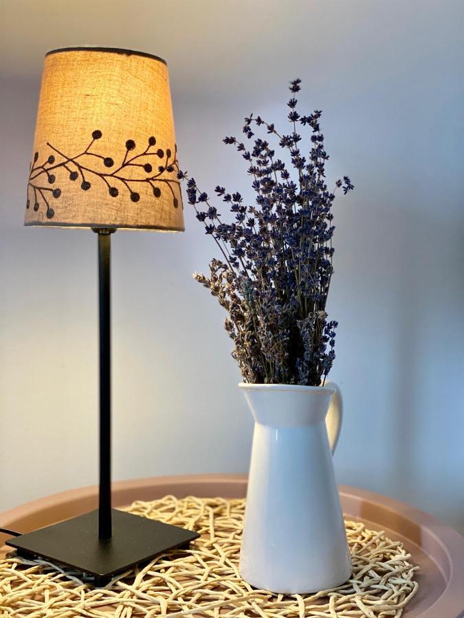 Drumul Poienii Apartment 브라쇼브 외부 사진