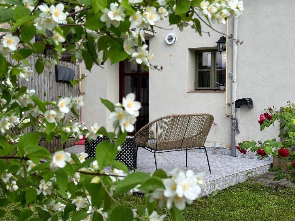 Drumul Poienii Apartment 브라쇼브 외부 사진
