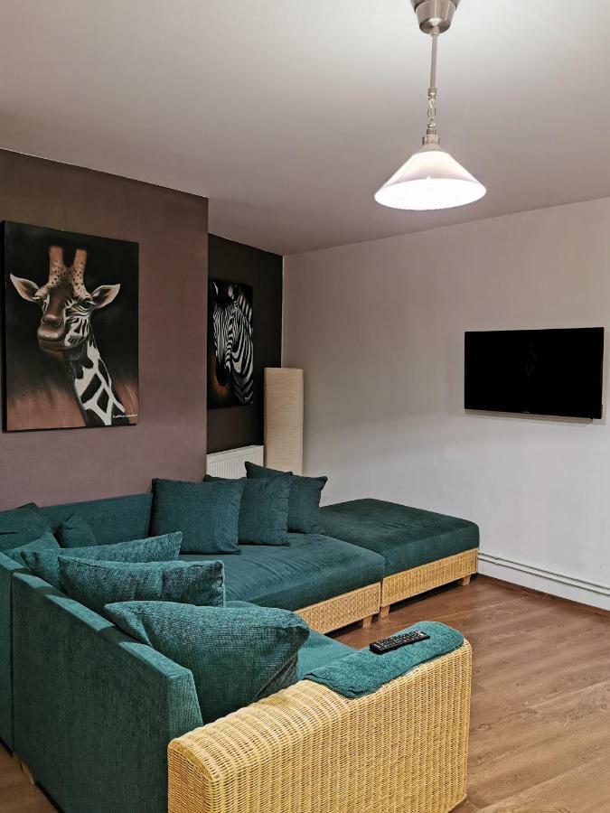 Drumul Poienii Apartment 브라쇼브 외부 사진